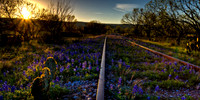 Bluebonnets and railroads series