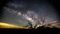 Night skies